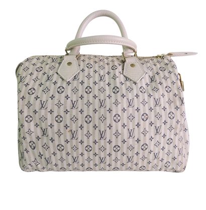 Mini Lin Speedy 30, front view